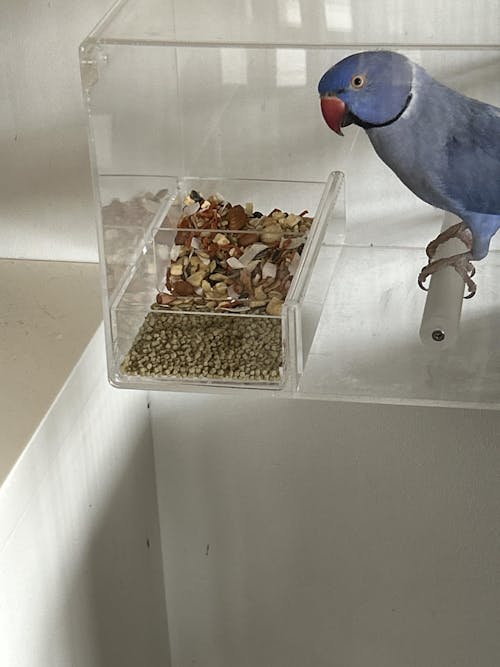 Harrisons High Potency Fine Organic Bird Pellet