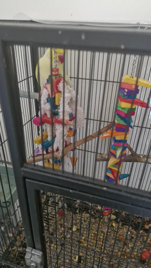 Rainbow Garland Slices