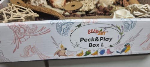 Beak Joy Peck and Play Forage Box