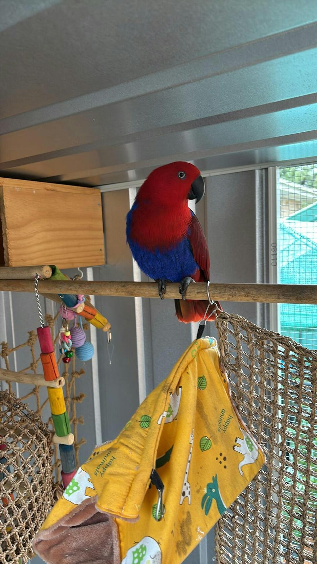 Calcium Wave Perches