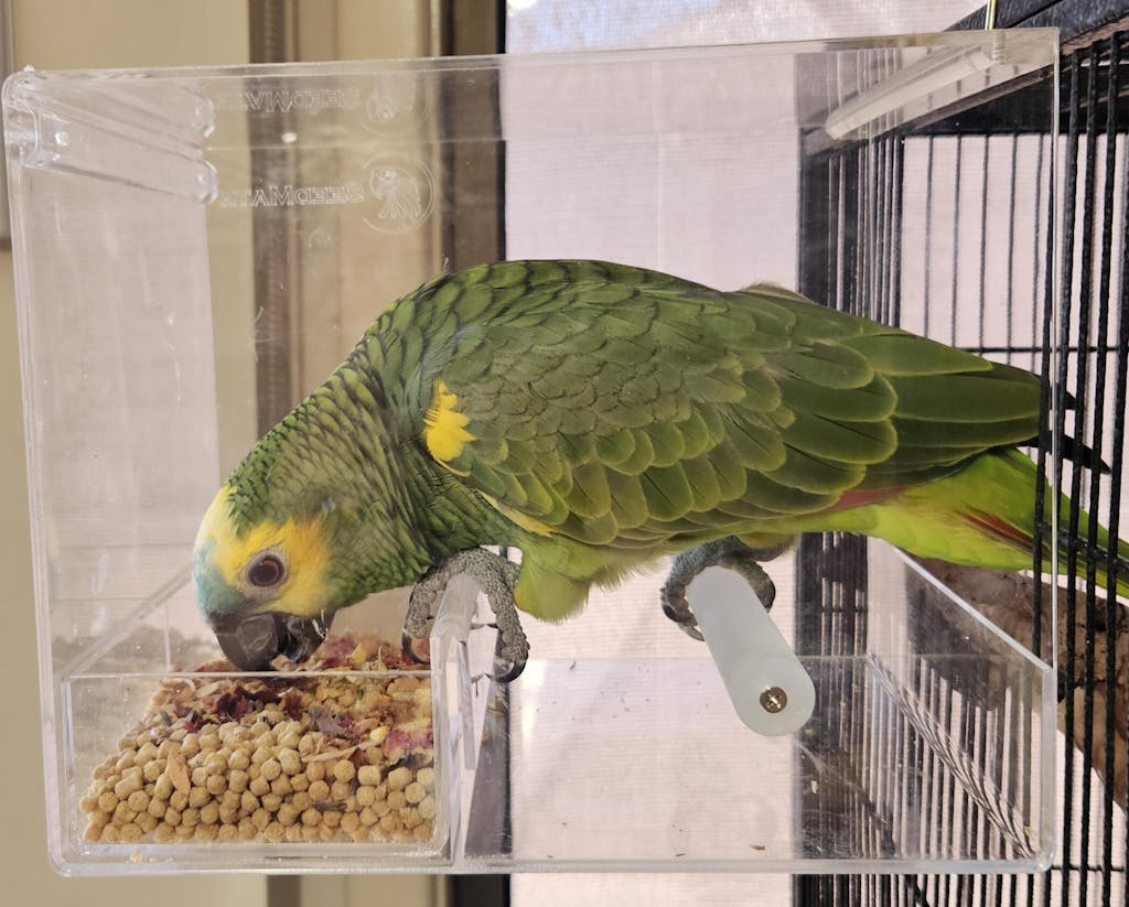 Seedmate - No Mess Feeder