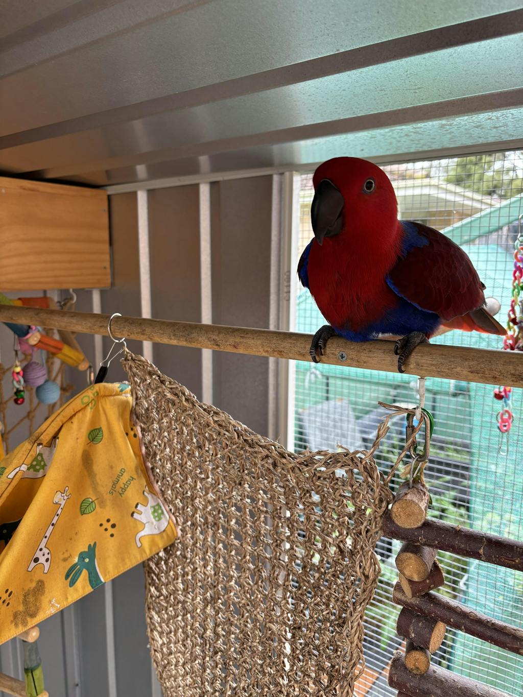 Forage Everyday Large Parrot Light Blend