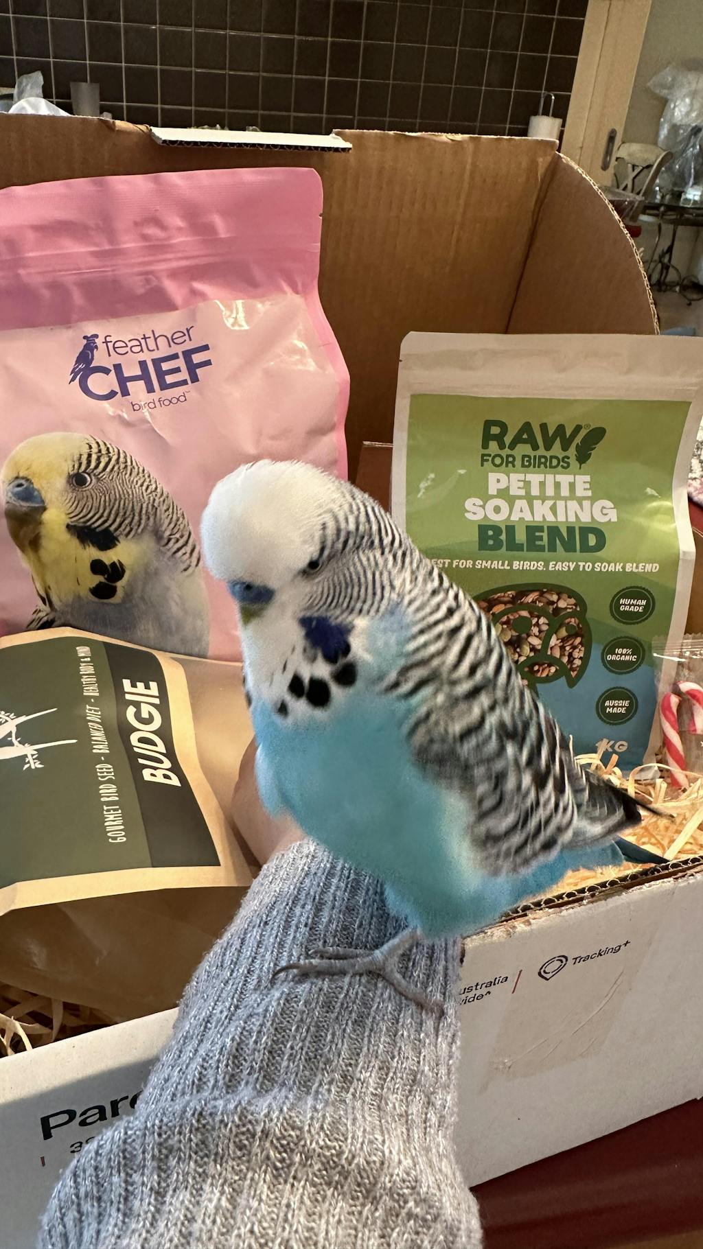 Lafeber Avi-Cakes Classic and Nutriberries Tropical Small Bird Bundle