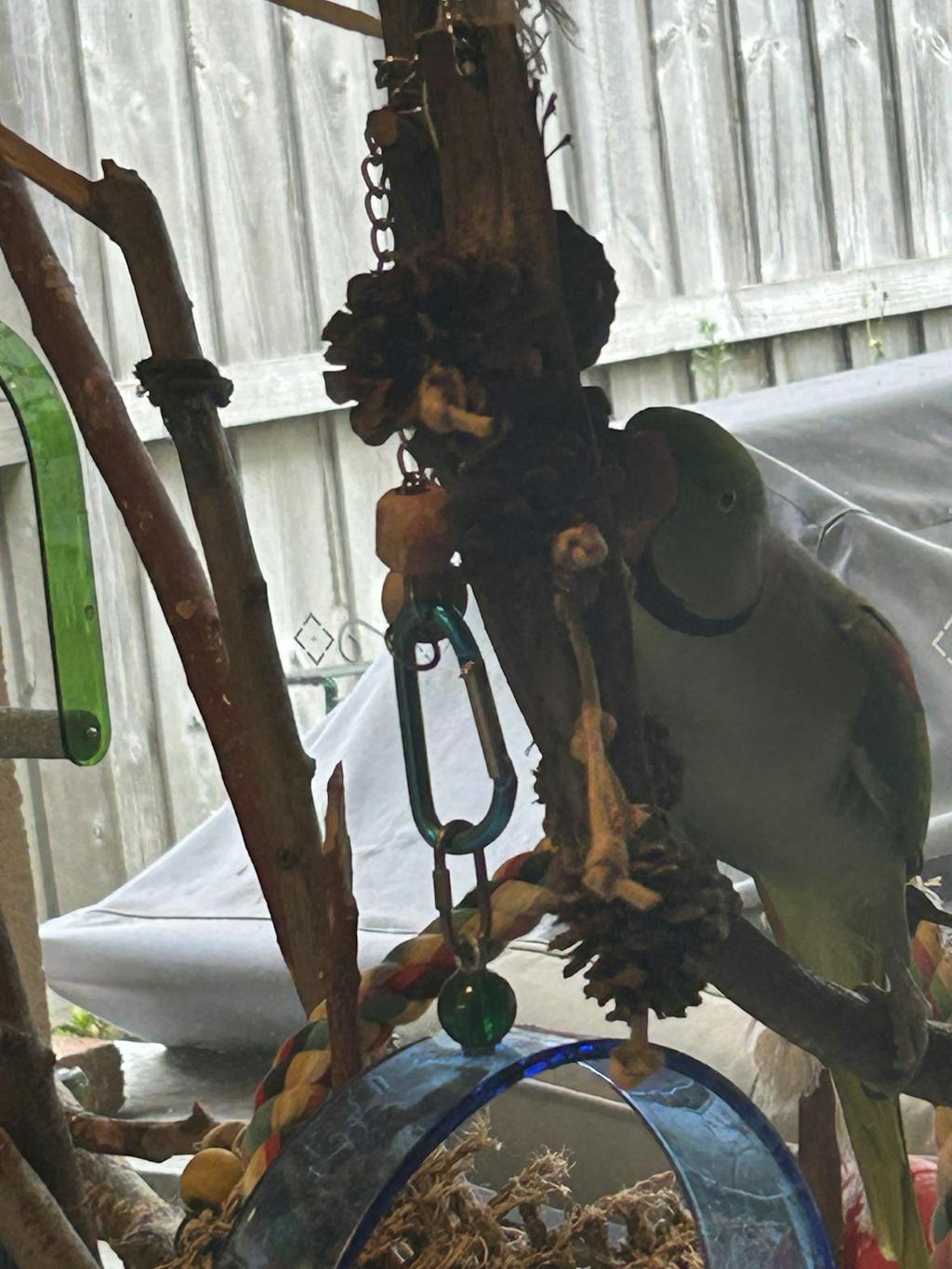 Pinecone Harvest Dangle