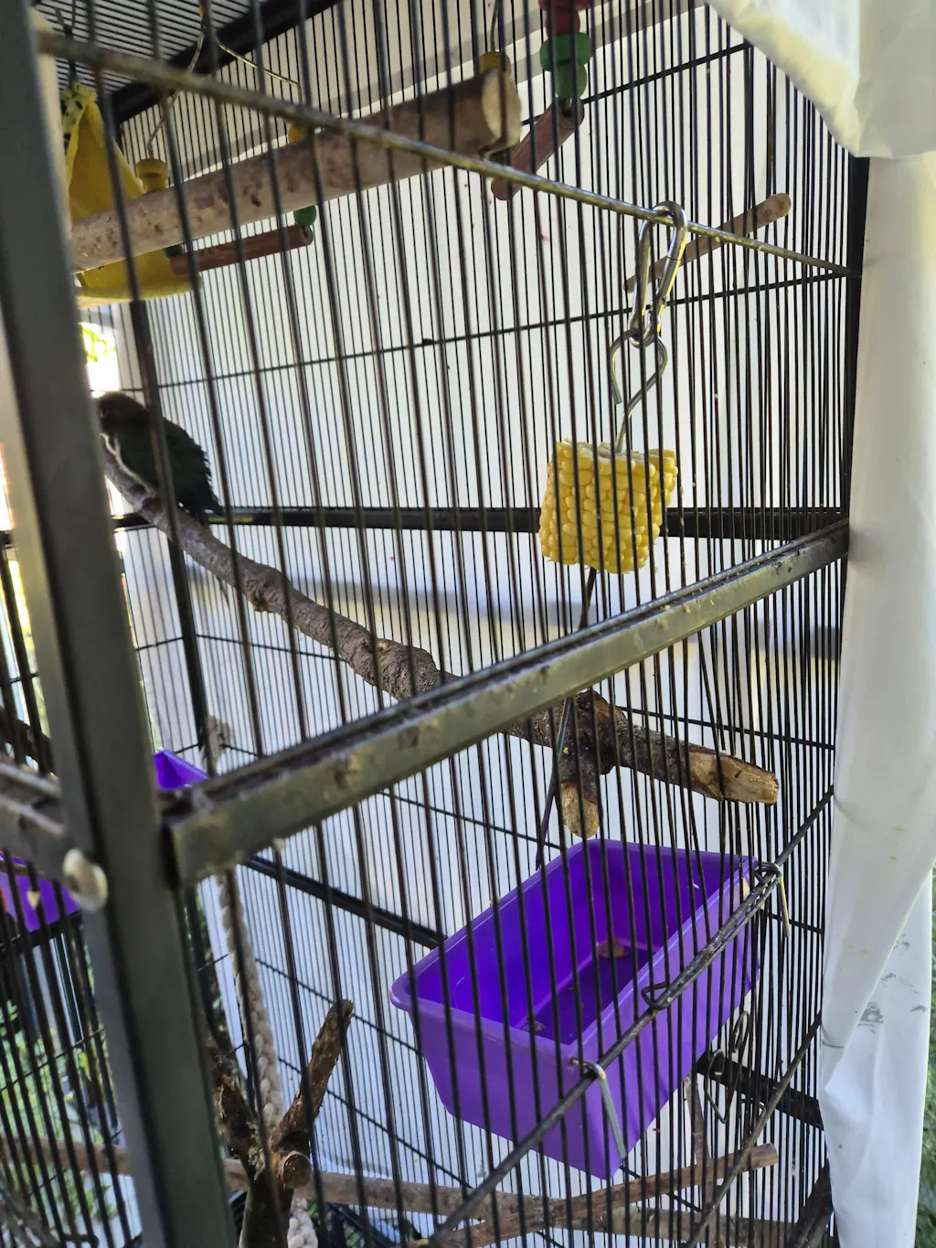 Plastic Rectangle Bird Bowl