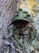 NWTF Mossy Oak Obsession | 3D Leafy Camo Mesh Back Hat with Front Face Concealment Adjustable