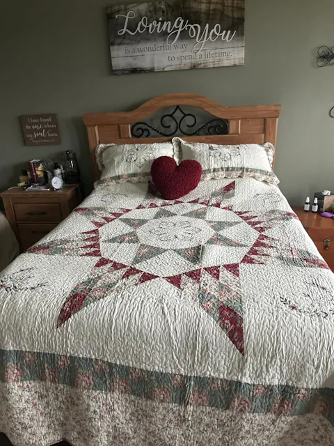 Turtle 3-Piece Quilted Bedding Set NCU0VT68