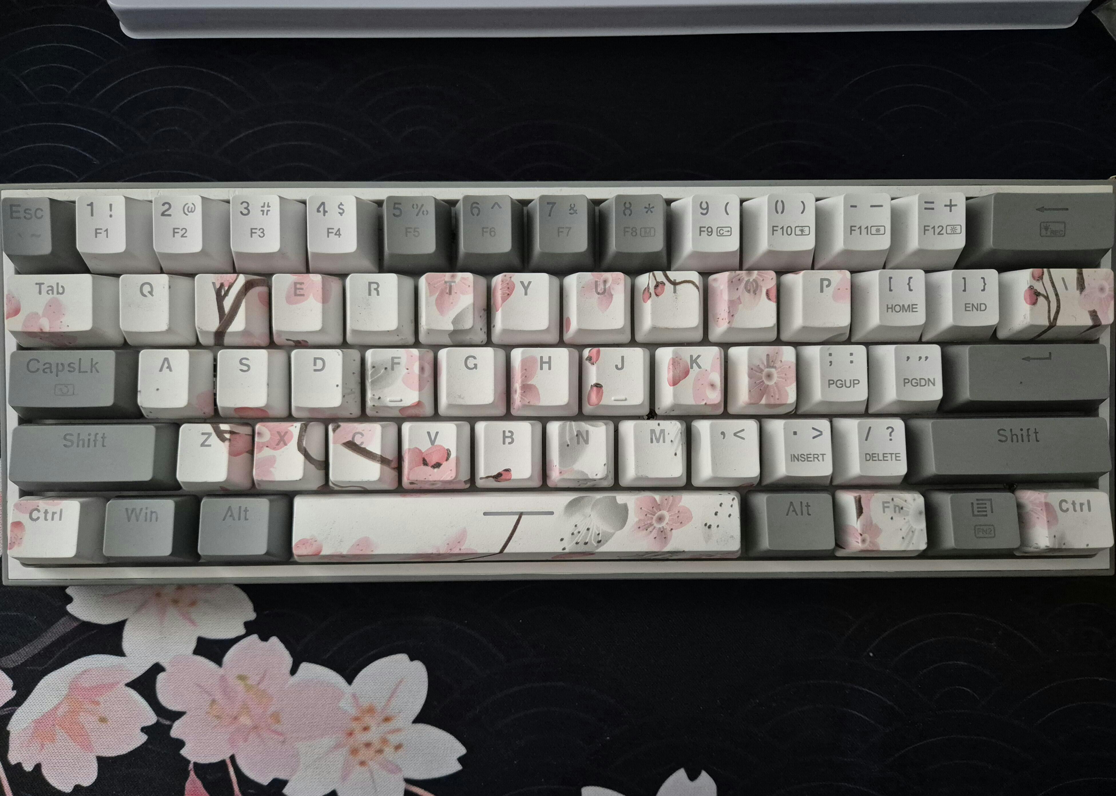 Set Taste Sakura Translucide Profil OEM Material ABS double shot