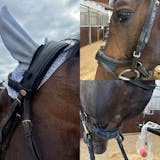 Afbeelding gebruiker