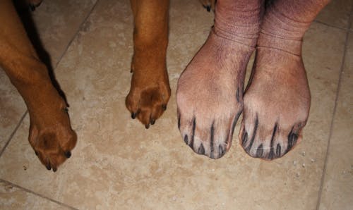 Realistic Animal Feet Socks ( Unisex)