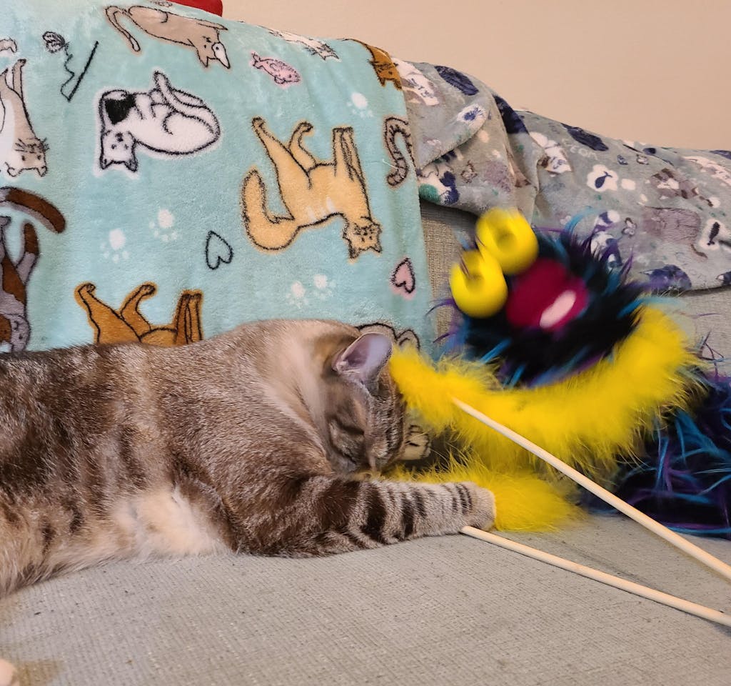 Zigzag Hand & Rod Puppet PREORDER Ragmop & Goose