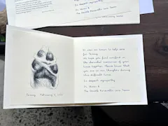 Review picture