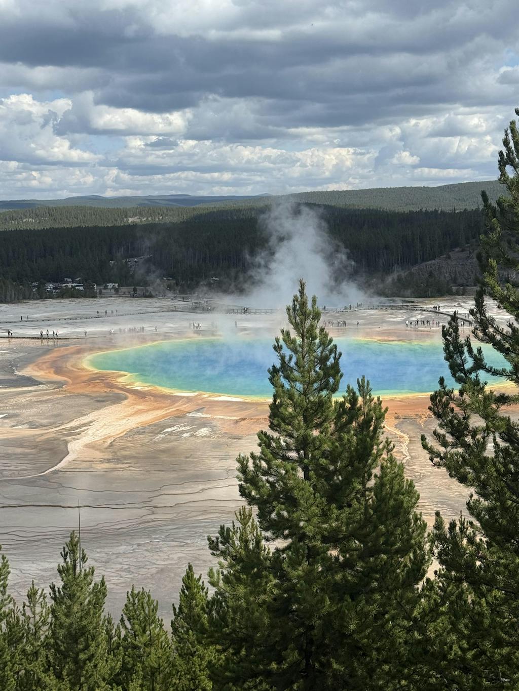 Review photo for Looks exactly like Grand Prismatic! (2)