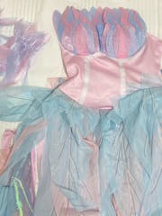 Barbie Princess Swan Lake Odette Cosplay Costume Halloween Princess Dress