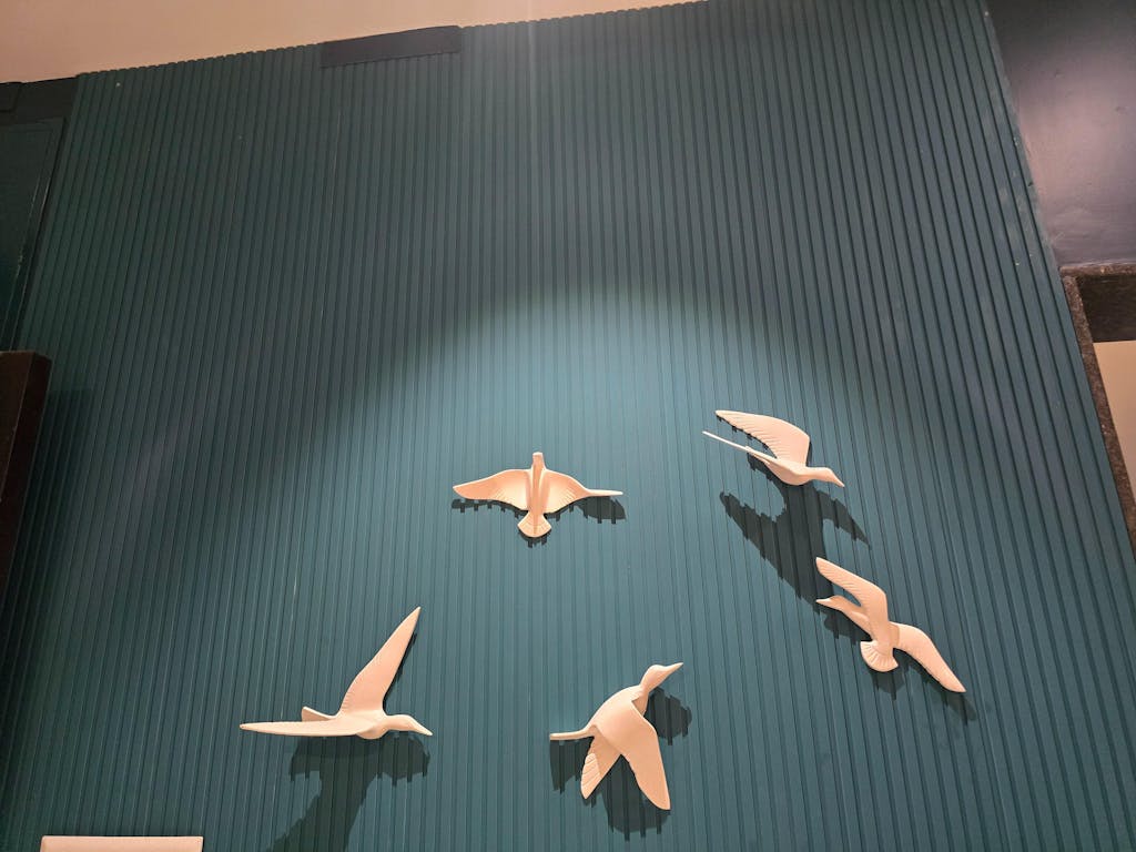 Flying birds- Set of 5