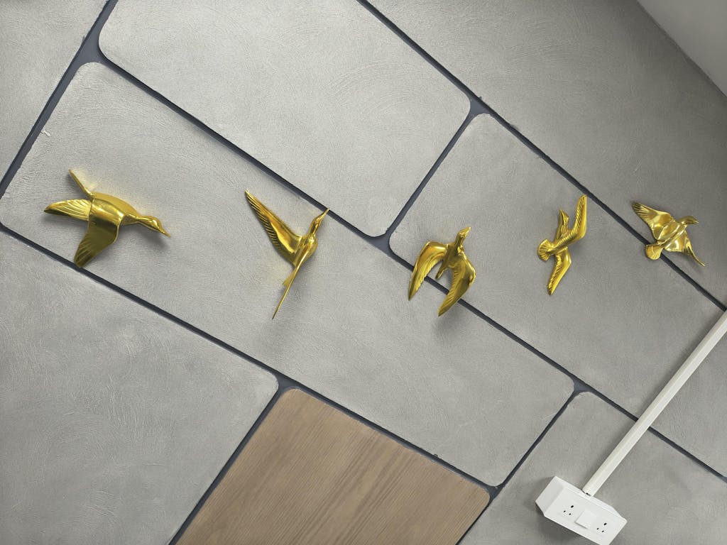 Flying birds- Set of 5