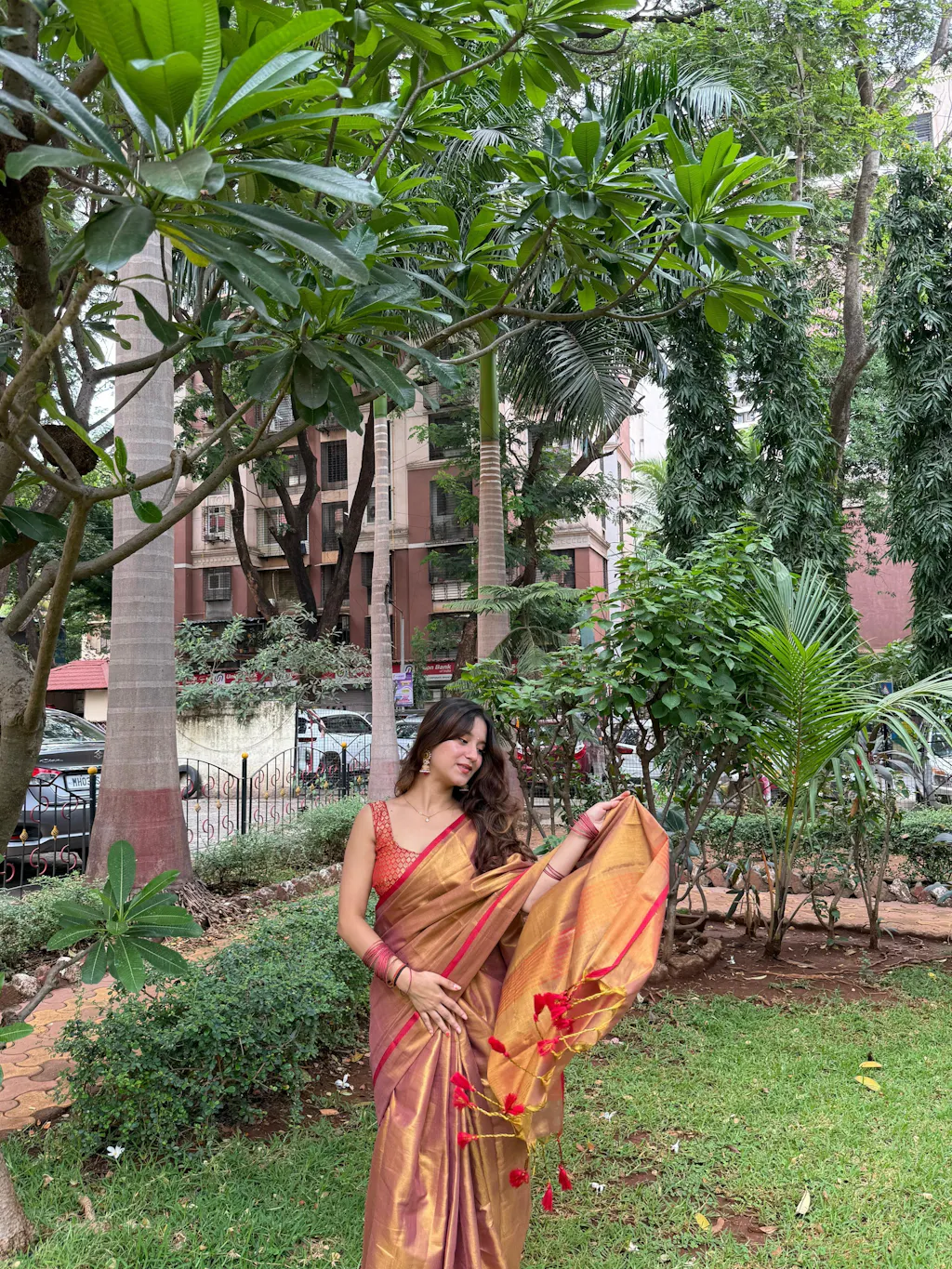 Raga Mul Tissue Saree