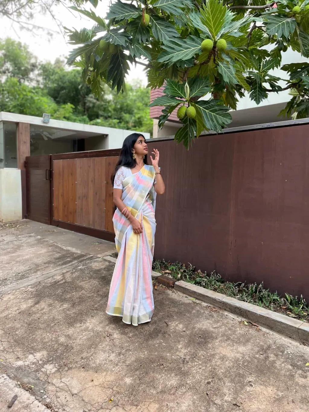 Shivala Stripes Saree