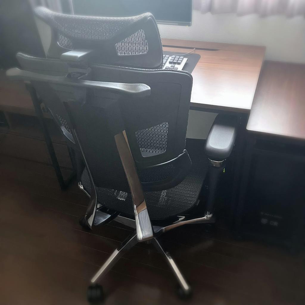 Rasical Chair Elite【即納】