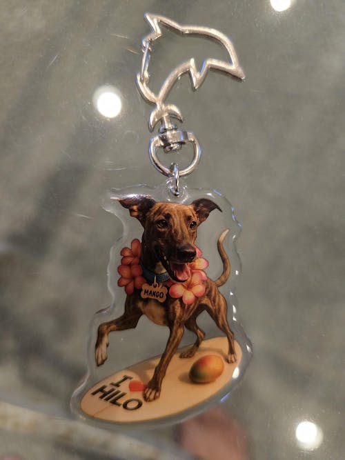 Custom Acrylic Fridge Magnets