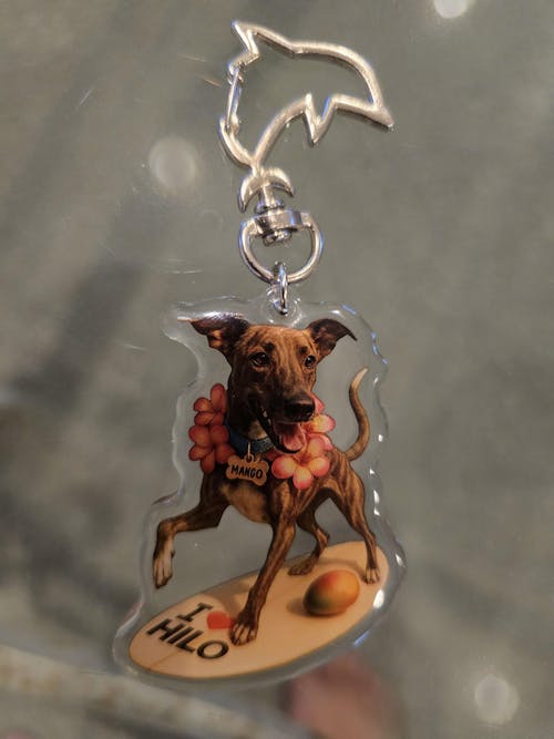 Custom  Epoxy Acrylic Keychains