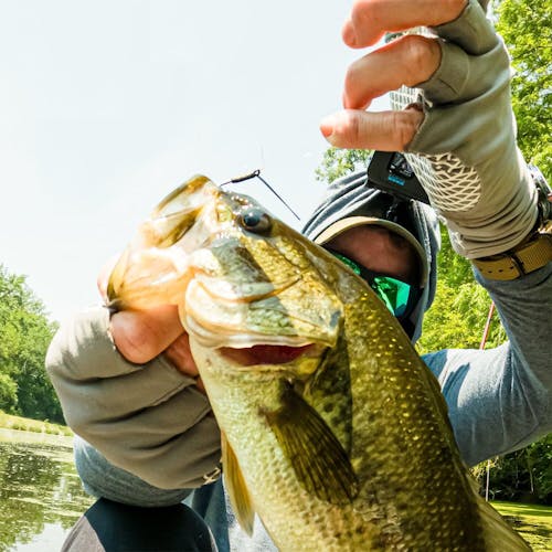 Reaction Tackle Wide Gap Wacky Hooks (25-PACK)