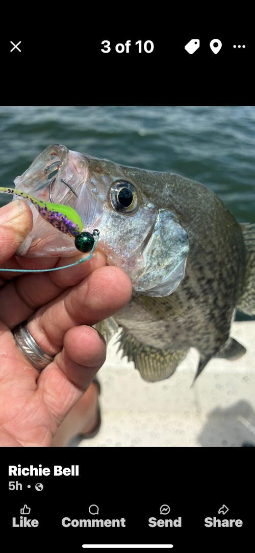 Reaction Tackle Braided Fishing Line - Multi-Color