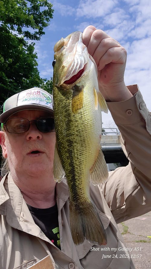 Reaction Tackle Tungsten Shaky Head Jigs 5-Pack