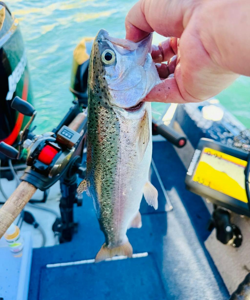 Reaction Tackle X8 Braided Fishing Line - NO FADE Pink 8 Strand - NEW