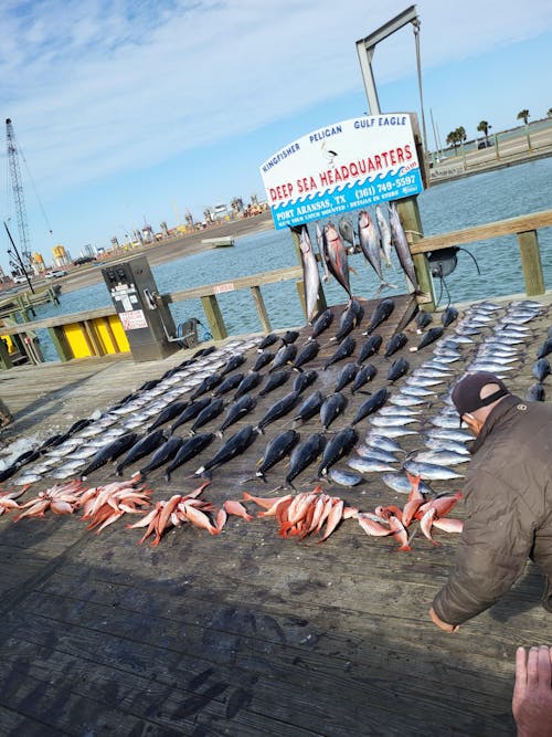 Reaction Tackle Braided Fishing Line - Blue Camo