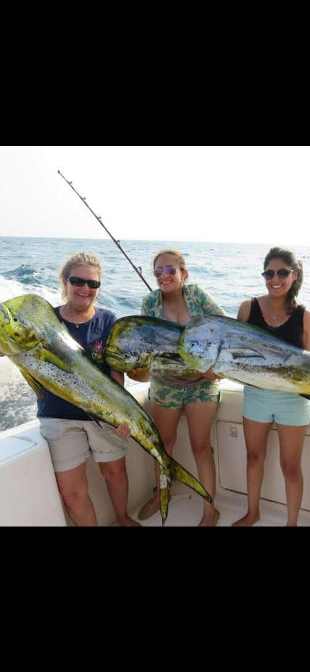 Reaction Tackle Nylon Monofilament Fishing Line