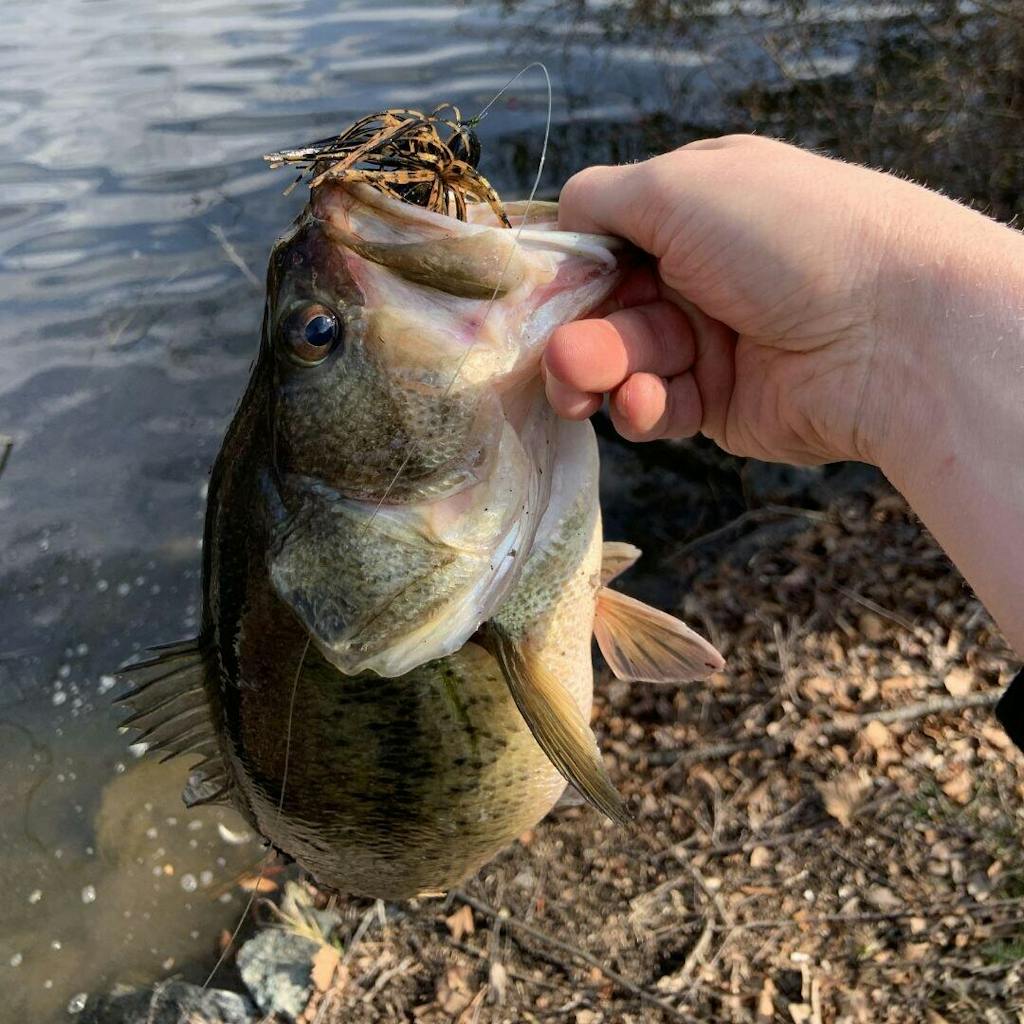 Reaction Tackle Lead Flipping Jigs- 3-PACK - New