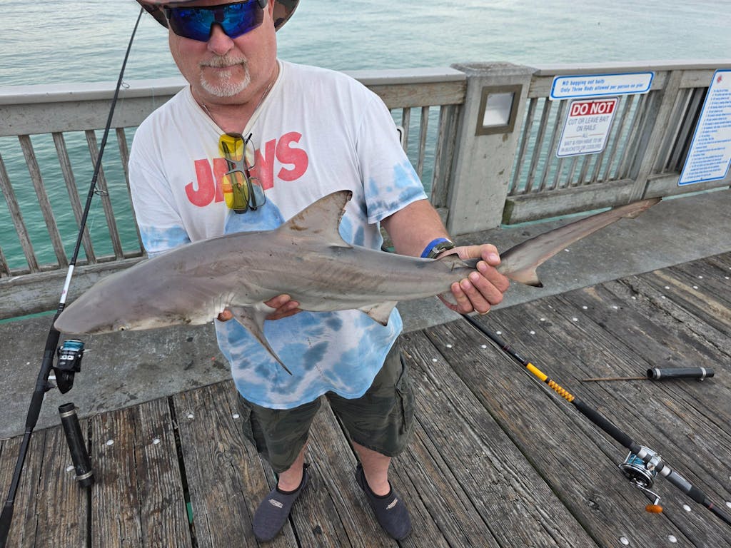 Reaction Tackle Braided Fishing Line - Pink Camo - NEW