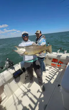 Review picture