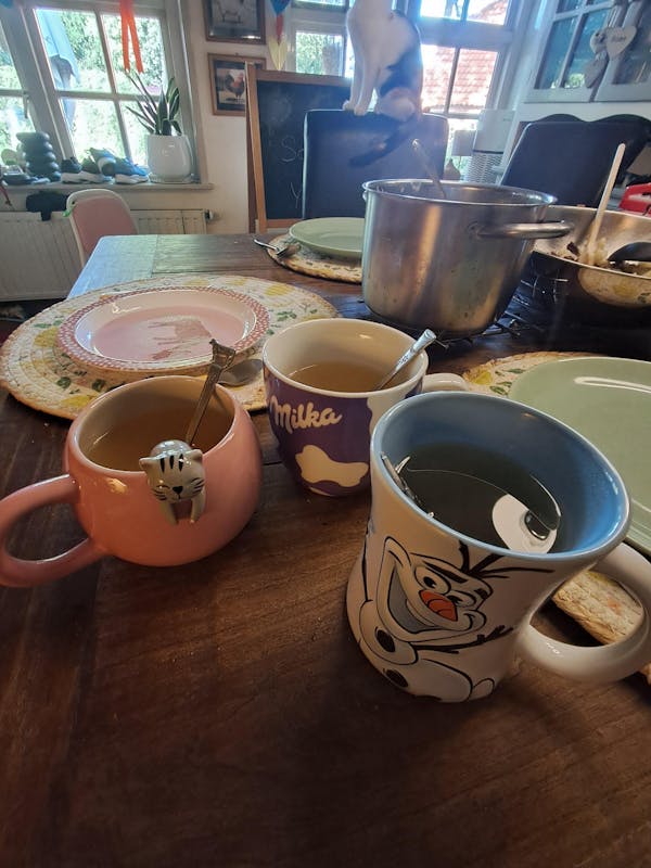 BOTTENBOUILLON - PASTA