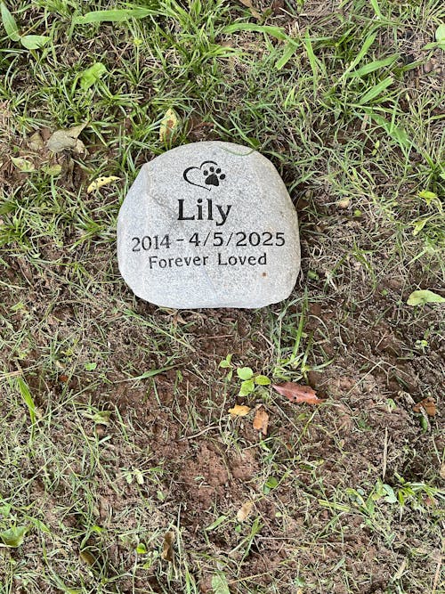 Extra-Large Pet Stone Memorial