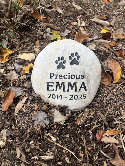 Large Pet Stone Memorial