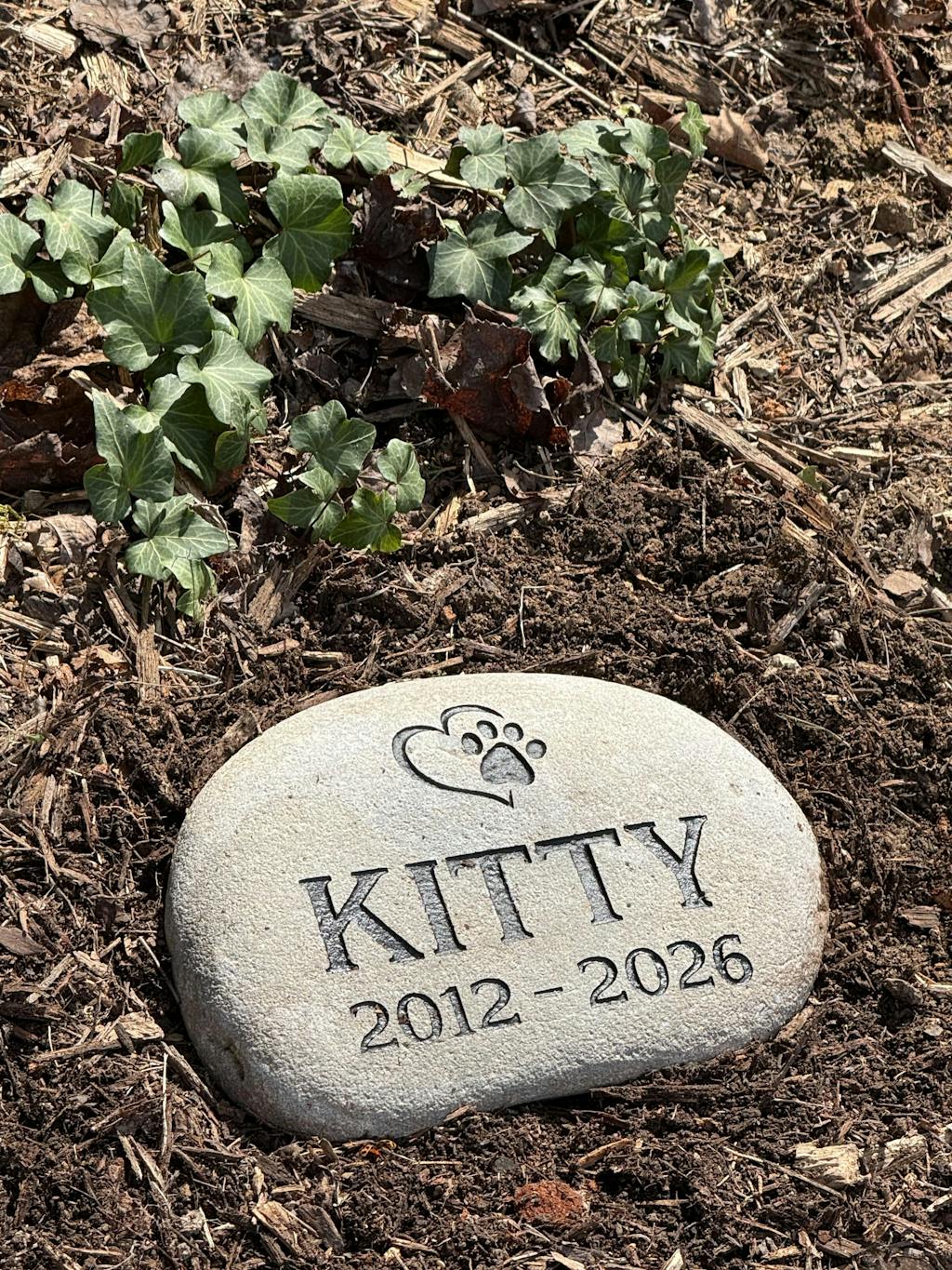 Medium Pet Stone Memorial