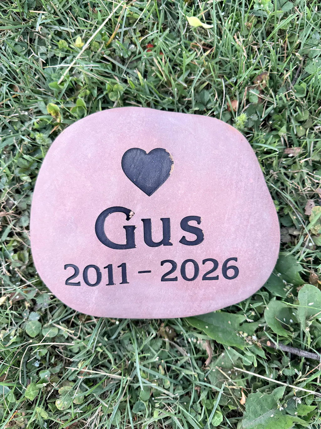 Medium Pet Stone Memorial