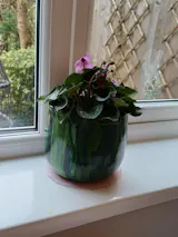 Stripe Plant Pot Nigel - Green Ceramic Pot - Multiple Sizes