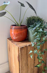 Orange Plant Pot Charlotte - Retro Ceramic Plant Pot - Multiple Sizes
