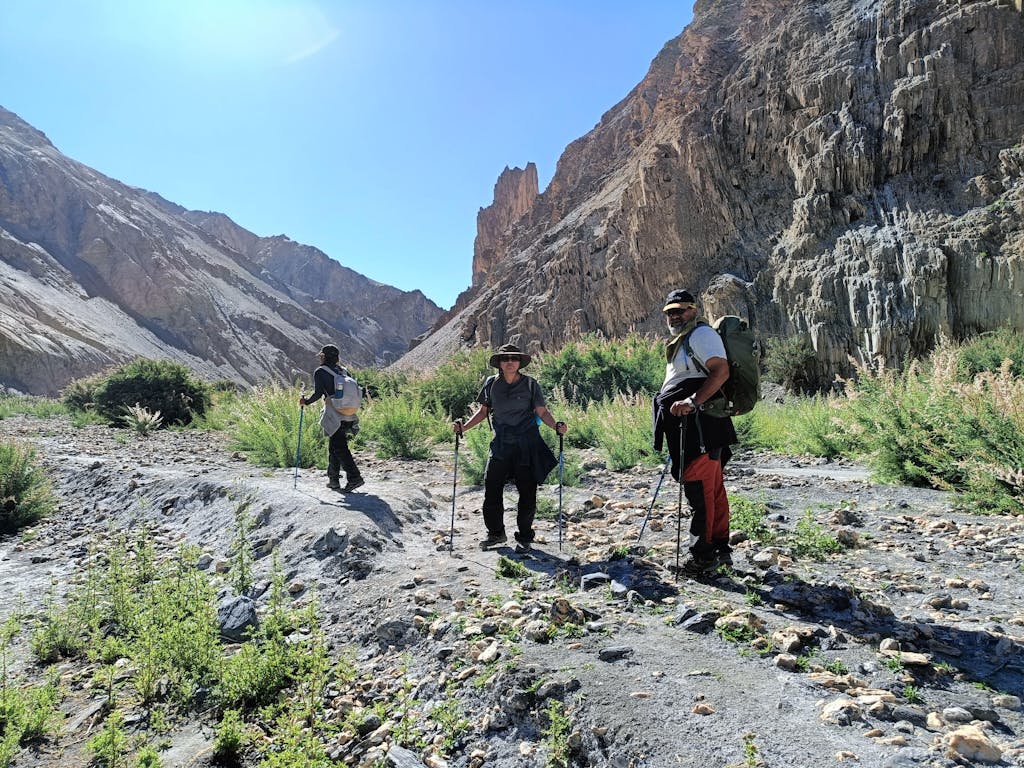 Nomadic Alpine Pants