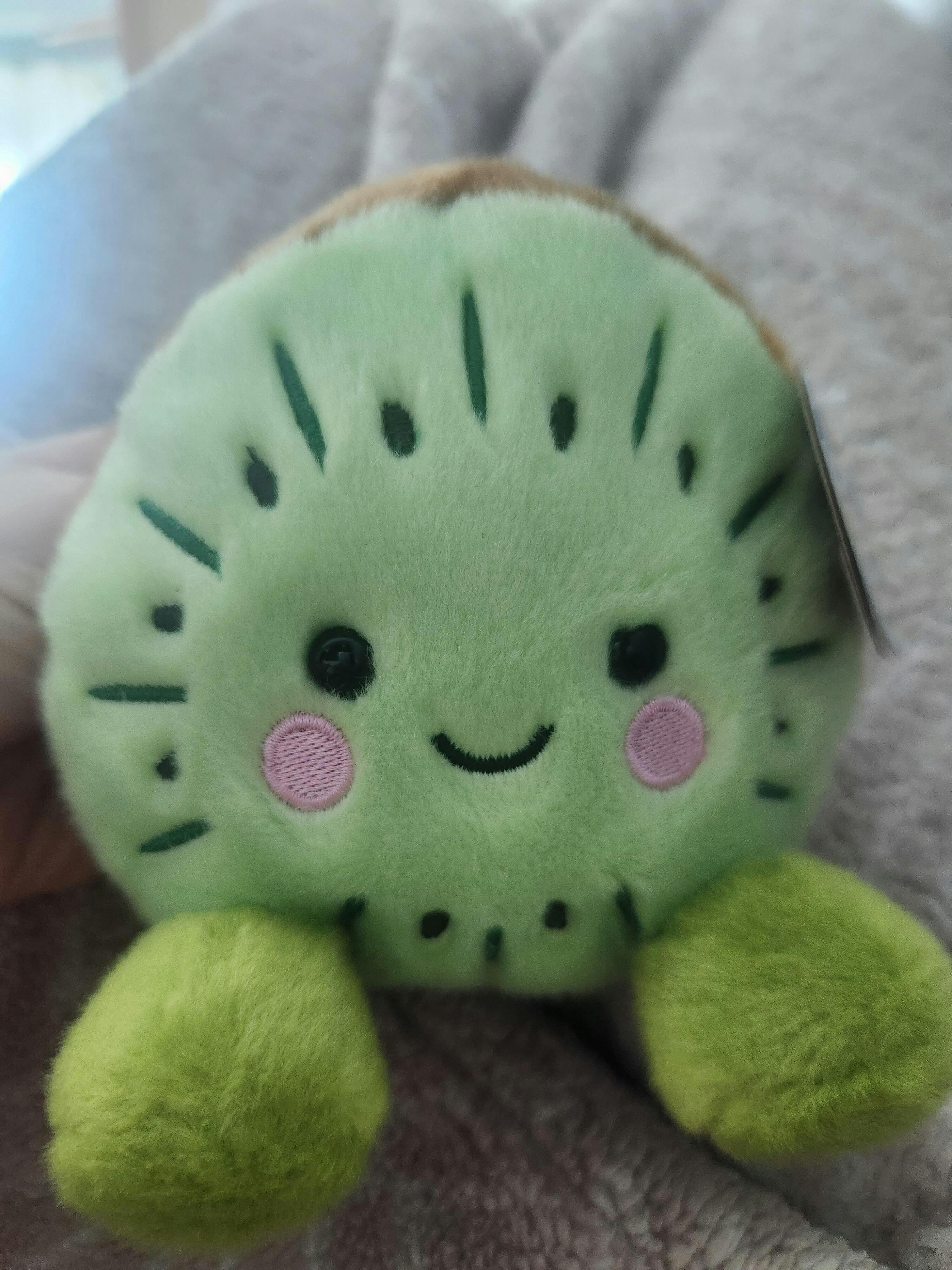 Palm Pals Kimber Kiwi 5-Inch Plush Soft Toy | ReChild