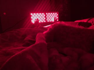 Red Alternative