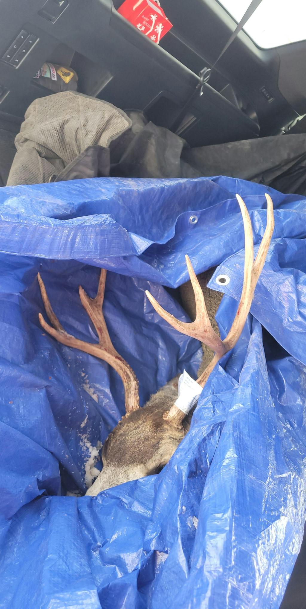 RL2 3 Pin Slider Bow Sight Redline Bowhunting