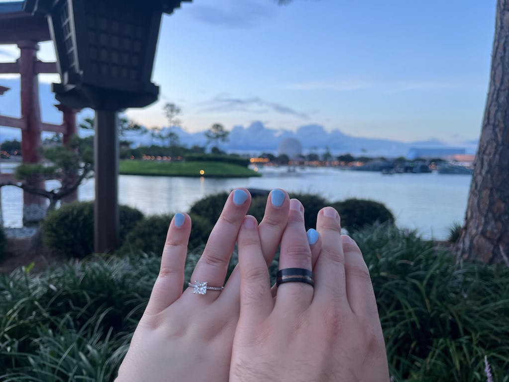 The Redwood Ring, Black Brushed Tungsten and Genuine Sequoia Inlay - 8MM