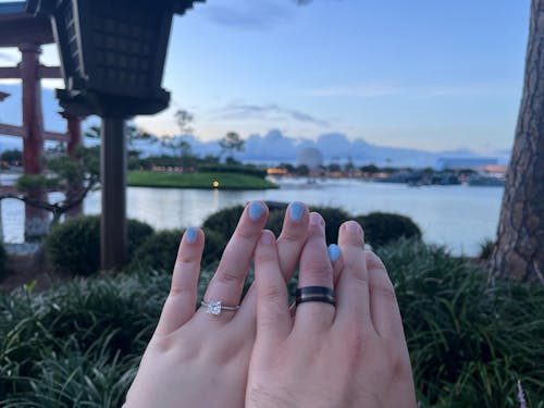 The Redwood Ring, Black Brushed Tungsten and Genuine Sequoia Inlay - 8MM