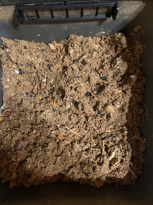 Reencle Prime 家庭用 生ごみ処理機 ハイブリッド式（ バイオ式 × 乾燥式 ）