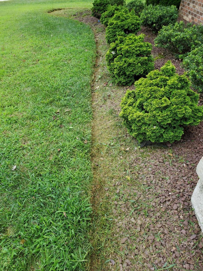 String Trimmer with Support Wheels Reindeer RGW100