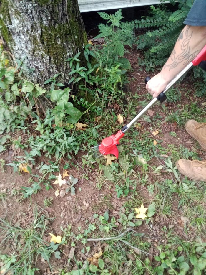 Weed Wacker Reindeer RGL100